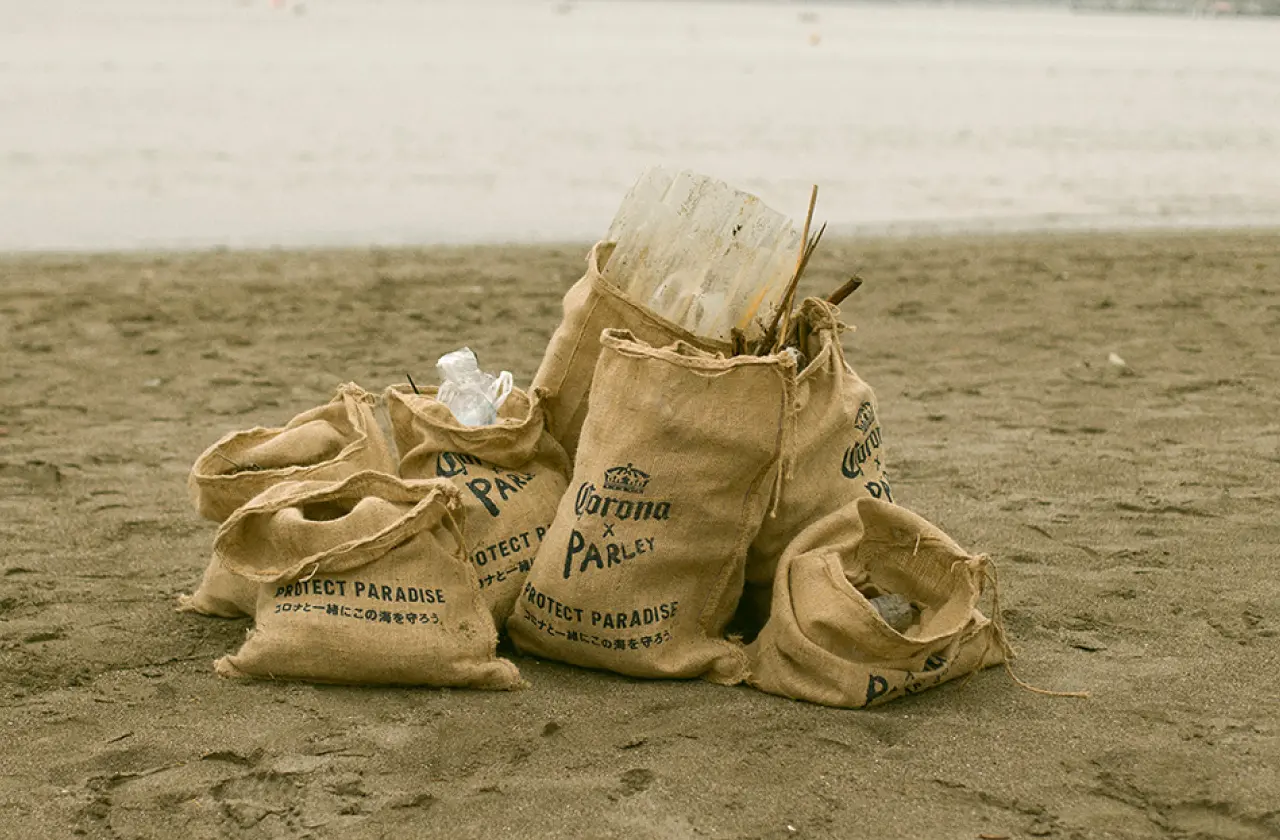 “楽園にプラスチックの居場所はない” 森戸海岸でビーチクリーン活動